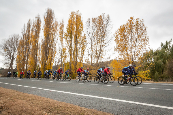 Tour De Cure 6