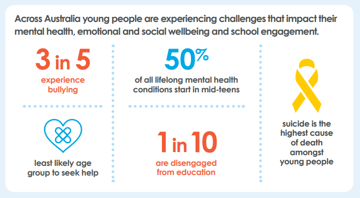 Infographic & Statistics through the Raise Program