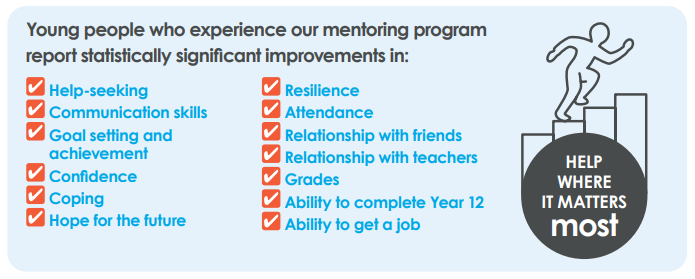 Infographic & Statistics From Mentoring Program Report