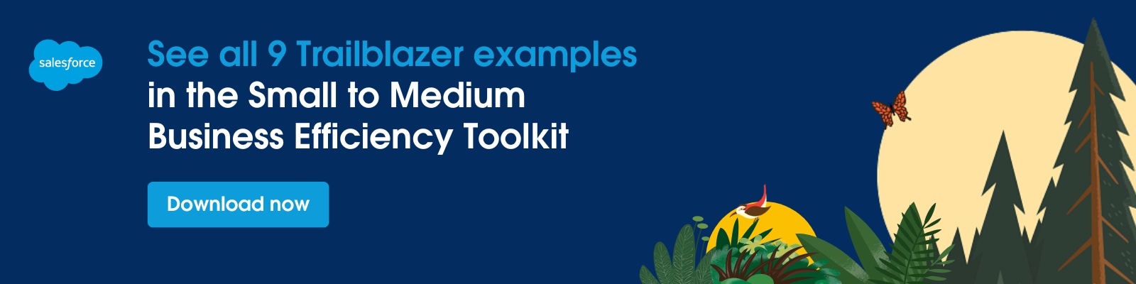 The Small and Medium Business Efficiency Toolkit