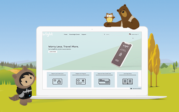 Image of Salesforce self-service demo video.