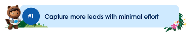 Capture more leads with minimal effort