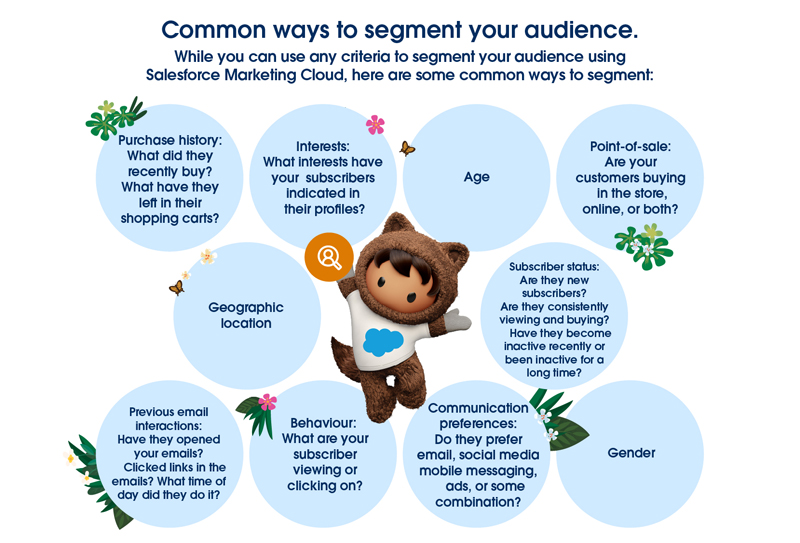 Common ways to segment your audience