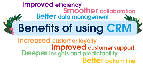 What are the benefits of using CRM software