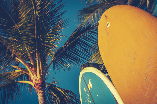 Announcing the 2014 Sales Surfboard Award Winners