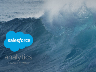 Wave: Analytics for the Rest of Us