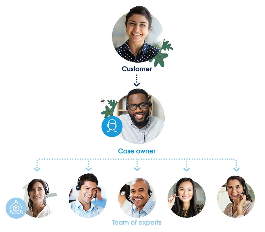 The structure of a case swarming support model.