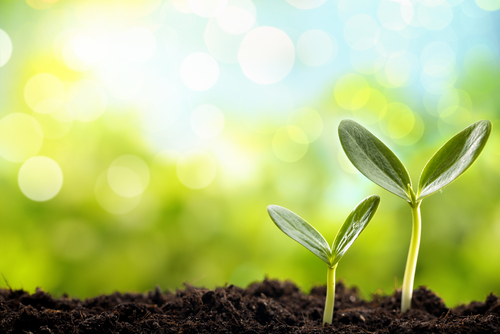 Three Lead Nurturing Campaigns You May Not Have Tried Yet