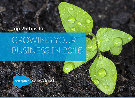 New E-book: Our Top 25 Tips for Growing Your Business in 2016