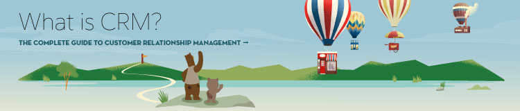 Banner with a link to the 'A Beginner's Guide to CRM Systems' webpage