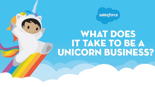Anatomy of a Unicorn Business and How to Become One