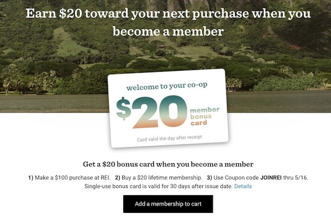 Example or REI's customer loyalty rewards