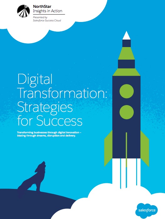 North Star Insights in Action Report