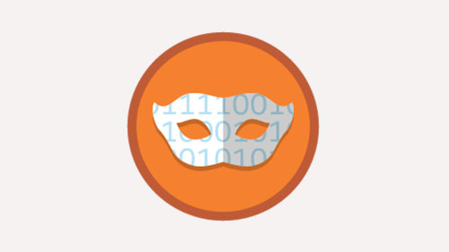 Salesforce Data Mask