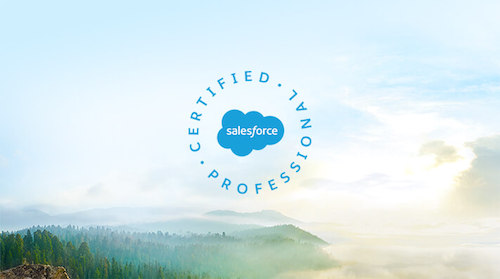 Unlock New Opportunities With Dreamforce Bootcamps and 50% Off Cert Exams
