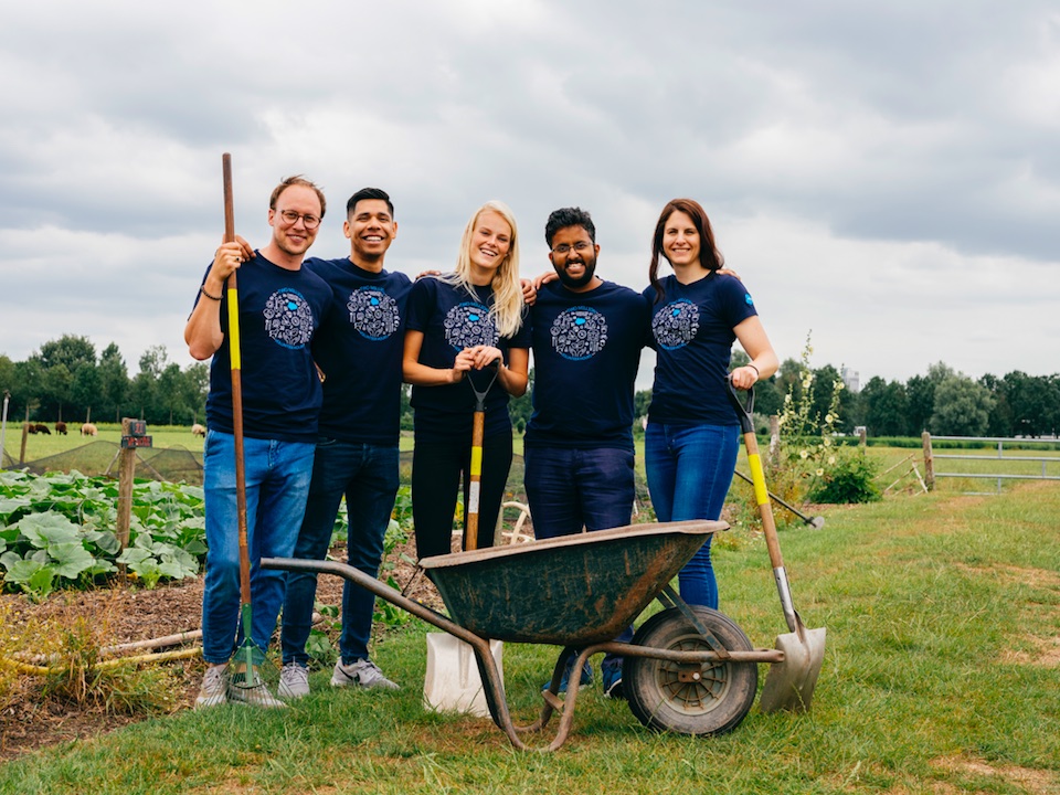 Salesforce volunteers at a garden