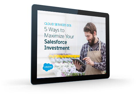 How to Maximize Your Salesforce Investment