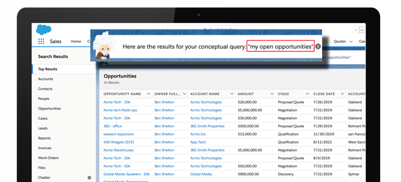 Example of how Einstein Search understands natural language, specifically as it applies to Salesforce.
