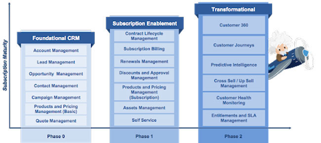 Phases of subscription maturity