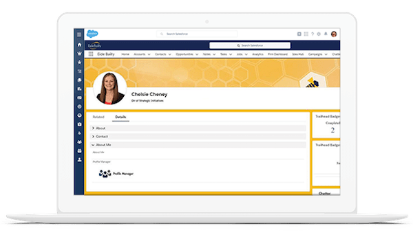 Chelsie Cheney Chatter profile