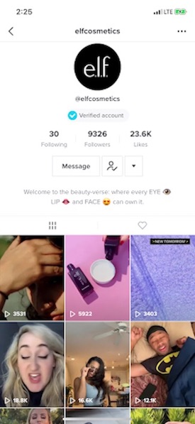 Elf cosmetics TikTok challenge