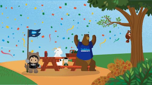 2020 Salesforce MVPs