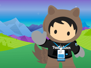 The Best Way to Fly to Dreamforce '16: Get the Dreamforce Jetpack!