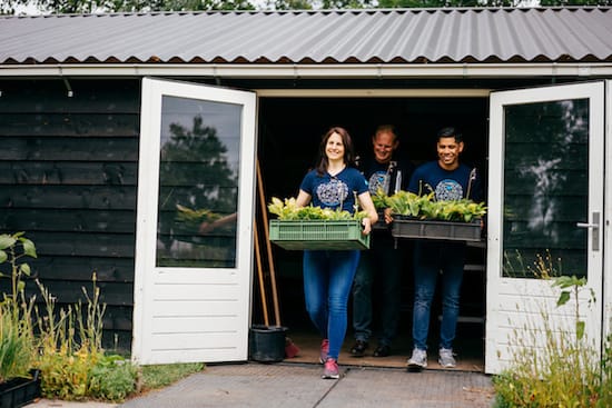 photo of volunteers working in a garden