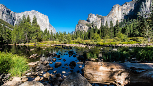 Waterfalls, Mountains, and Tech? Why Salesforce Loves the National Parks