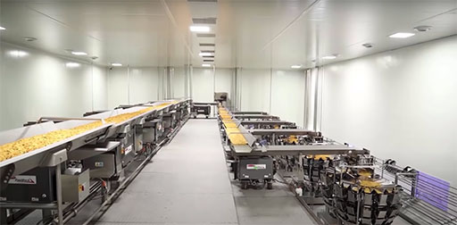 Balaji Wafers Inline Image