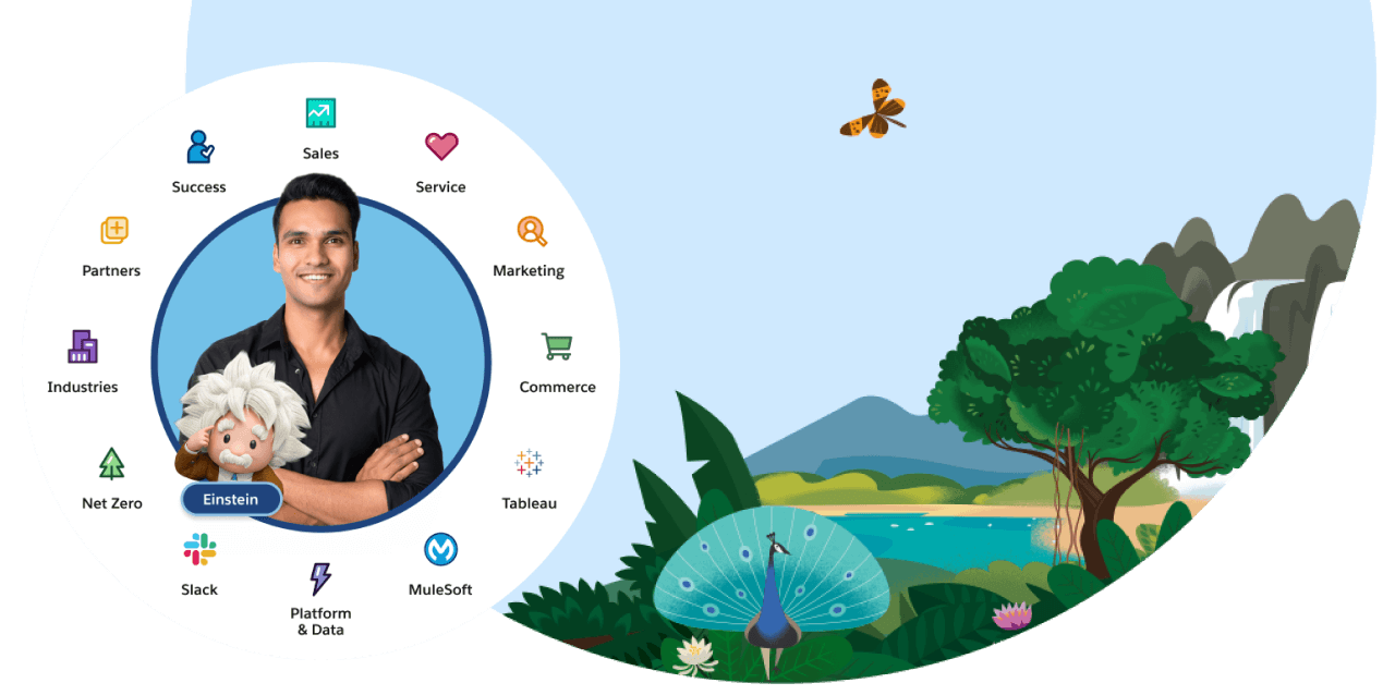 A wheel with all Customer 360 product icons.