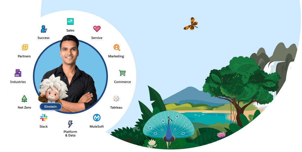 A wheel with all Customer 360 product icons.