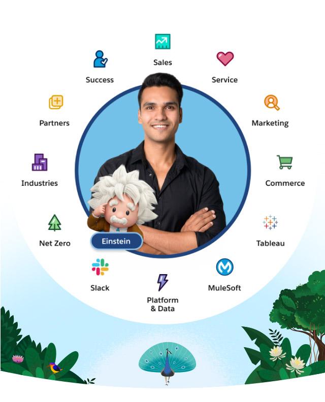 A wheel with all Customer 360 product icons.