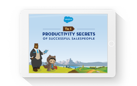 5 Productivity Secrets of Successful Salespeople