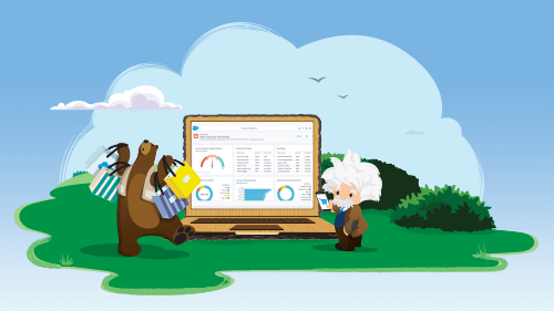 people walking in a field