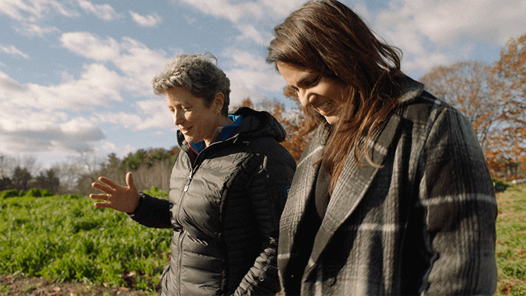 people walking in a field