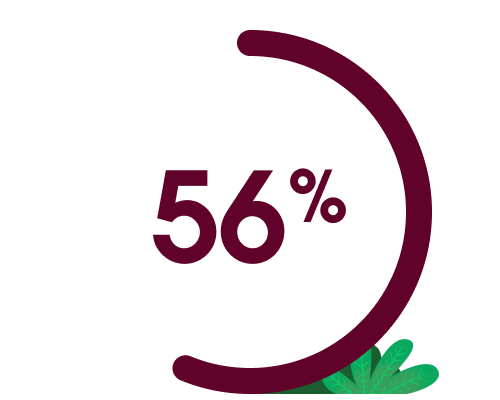 56%