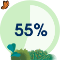 55%