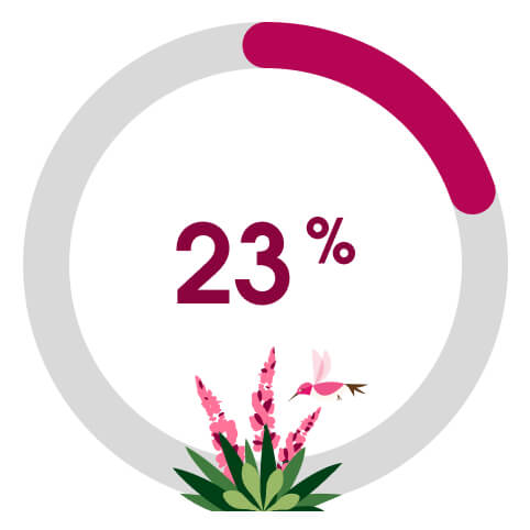 Circle graphic showing 23%