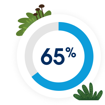 65% donut stat wheel