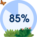 Diagram van 85%