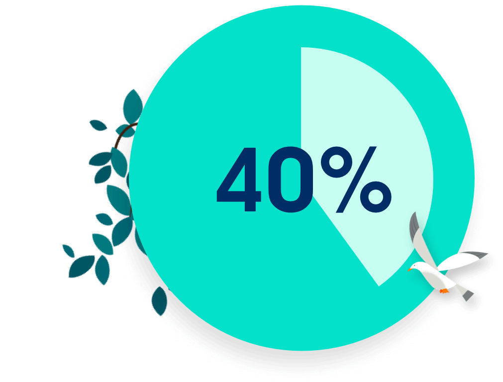 40%
