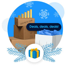 Peak Holiday Shopping