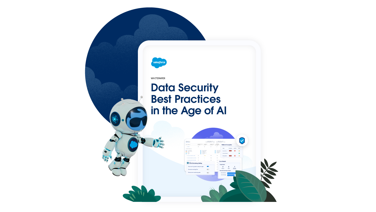 Cover of Data Security Best Practices in the AI Age Guide
