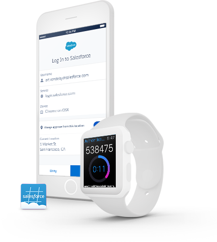 salesforce portfolio