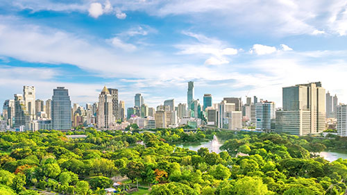 How Your Business Can Start the Journey To Net Zero