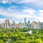 How Your Business Can Start the Journey To Net Zero