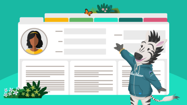 Zig the Zebra pointing to a digital customer profile tabbed interface.