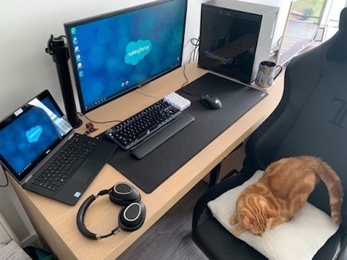 Get a work station high enough that your cat can't jump on it