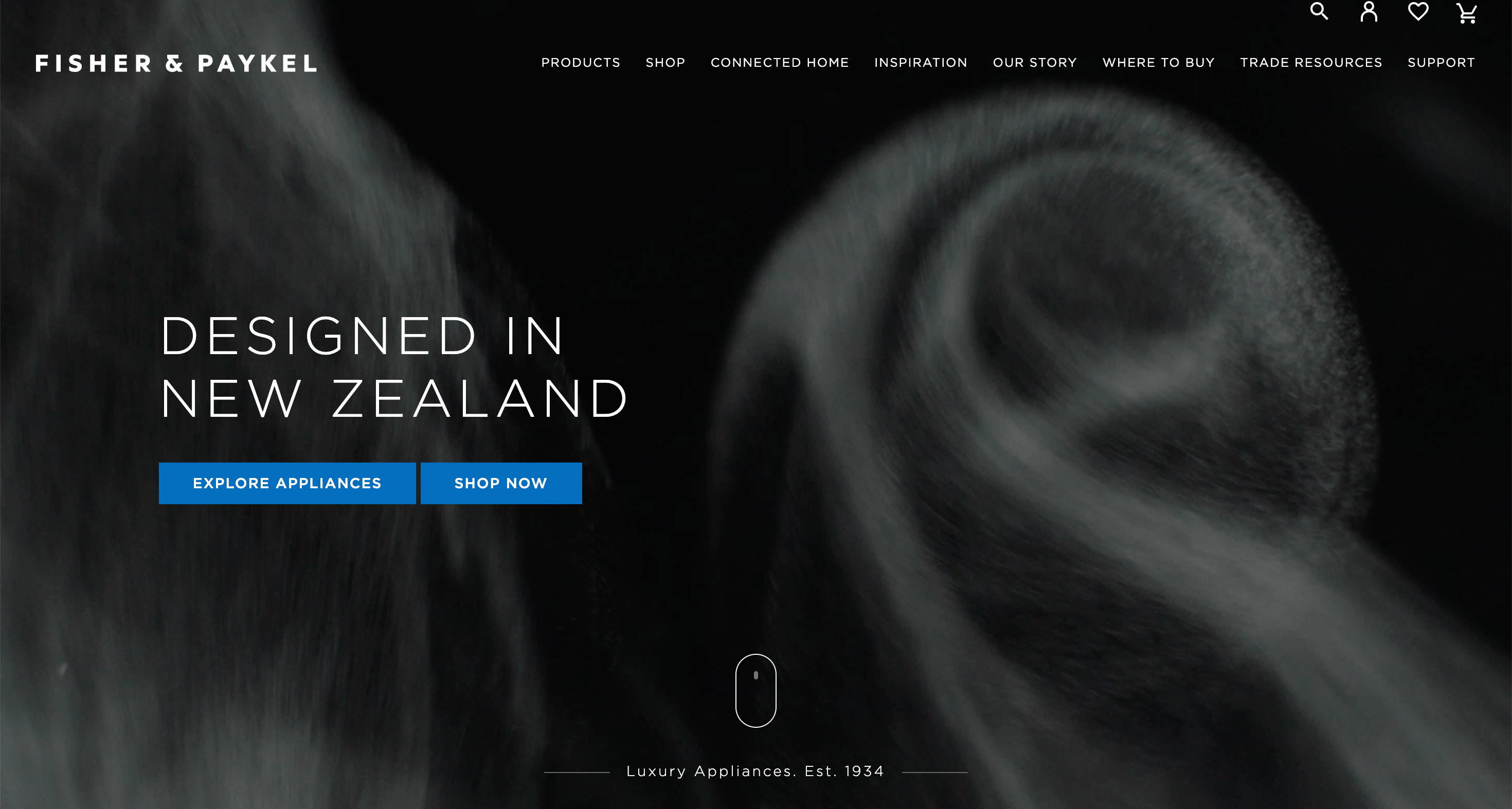 Fisher & Paykel homepage banner with text "DESIGNED IN NEW ZEALAND" and blue "EXPLORE APPLIANCES" and "SHOP NOW" buttons.